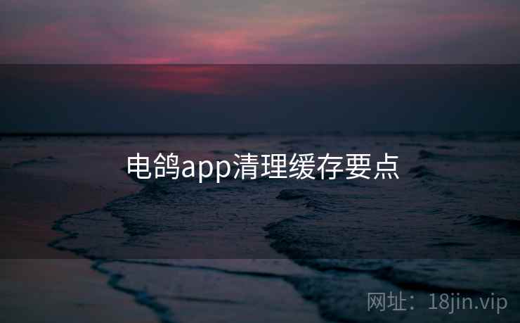 电鸽app清理缓存要点 电鸽app清理缓存要点