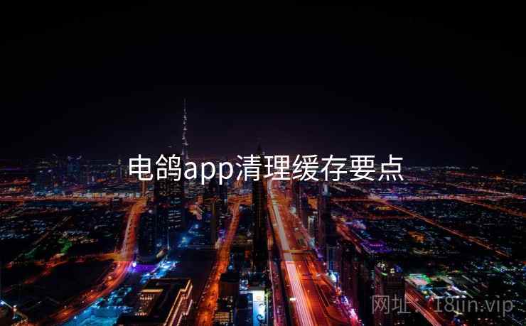 电鸽app清理缓存要点 电鸽app清理缓存要点
