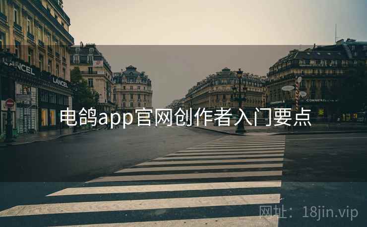 电鸽app官网创作者入门要点 电鸽app官网创作者入门要点