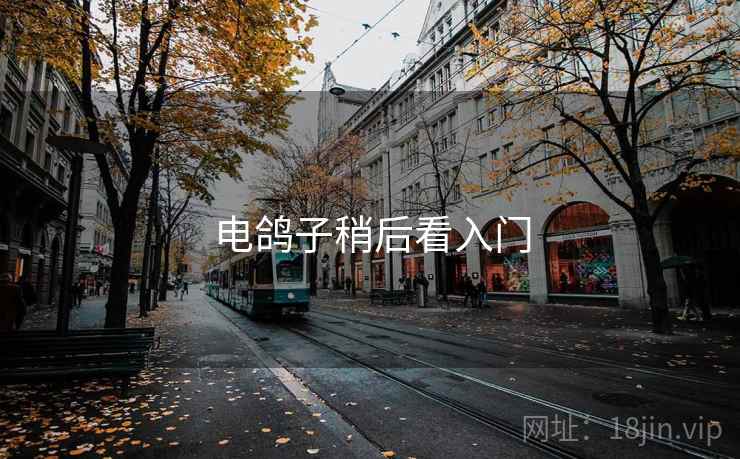 电鸽子稍后看入门