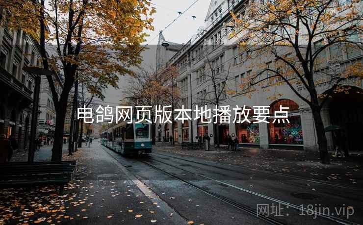电鸽网页版本地播放要点