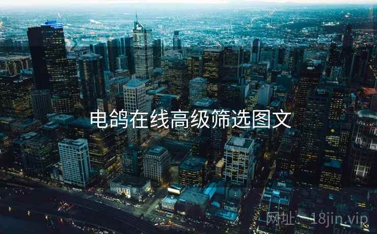 电鸽在线高级筛选图文