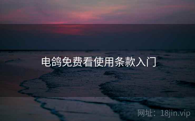 电鸽免费看使用条款入门