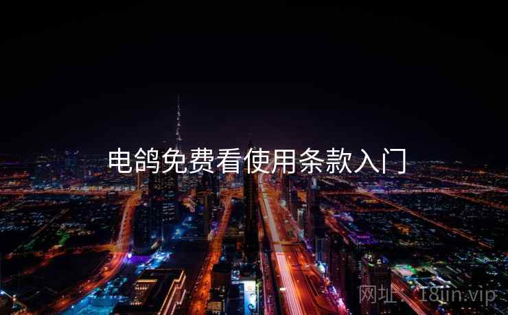 电鸽免费看使用条款入门