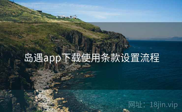 岛遇app下载使用条款设置流程