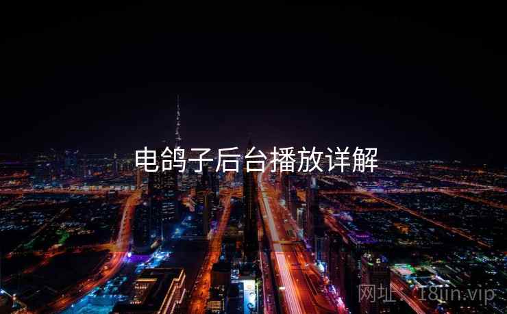 电鸽子后台播放详解