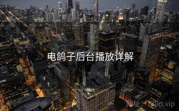 电鸽子后台播放详解