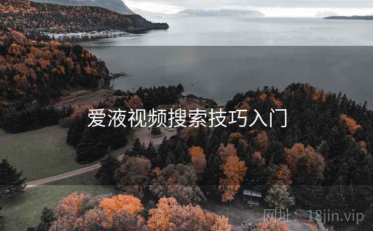 爱液视频搜索技巧入门