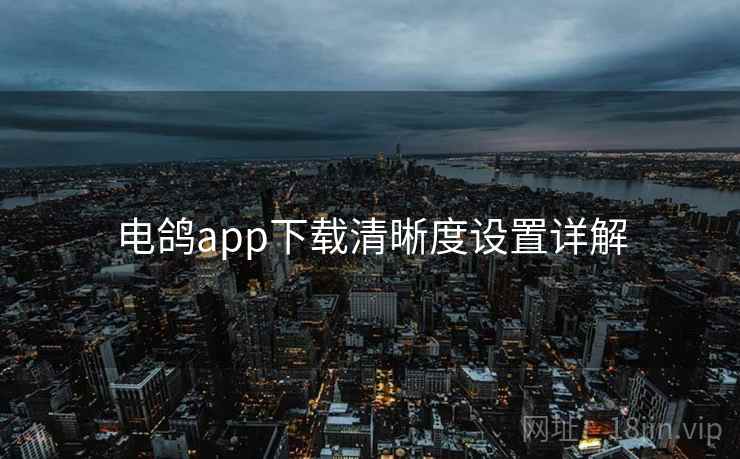 电鸽app下载清晰度设置详解