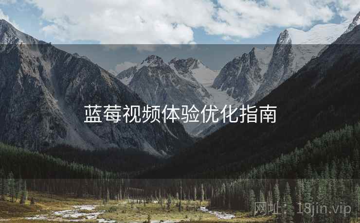 蓝莓视频体验优化指南