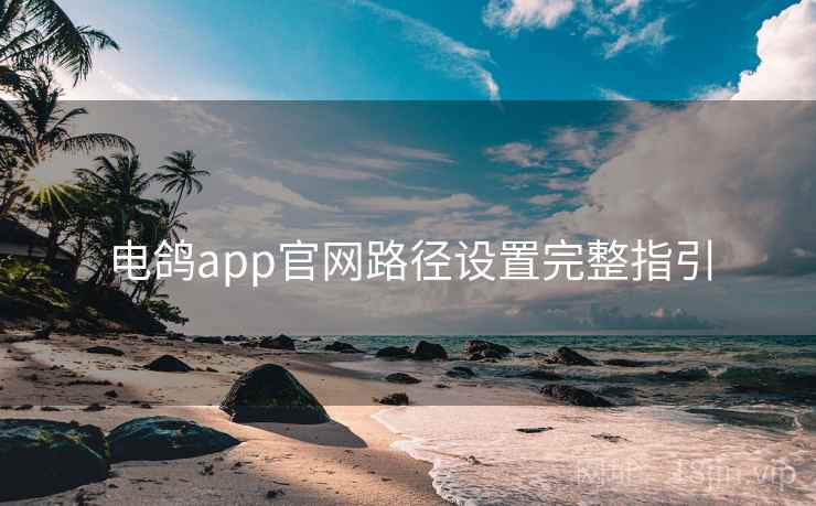 电鸽app官网路径设置完整指引