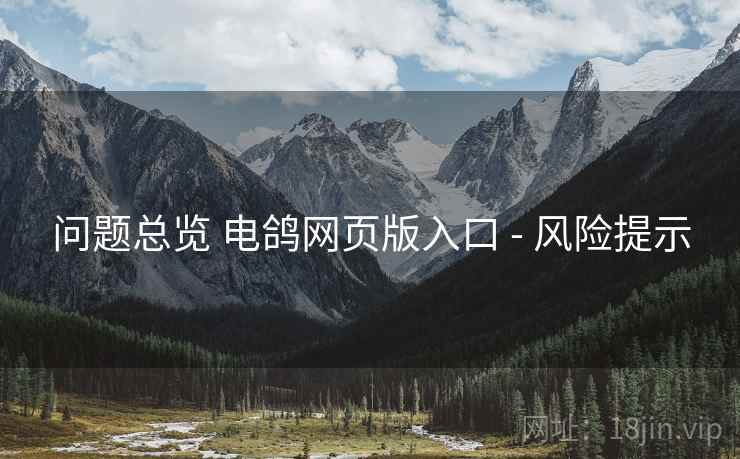 问题总览 电鸽网页版入口 - 风险提示