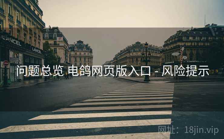 问题总览 电鸽网页版入口 - 风险提示