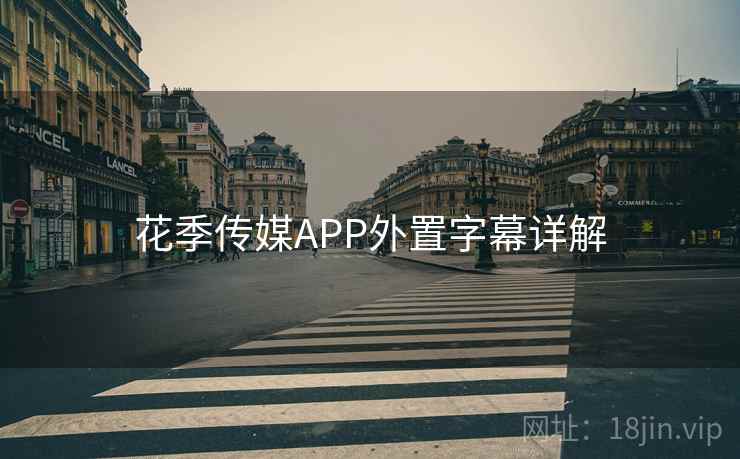 花季传媒APP外置字幕详解