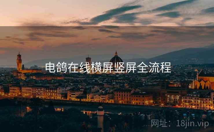 电鸽在线横屏竖屏全流程