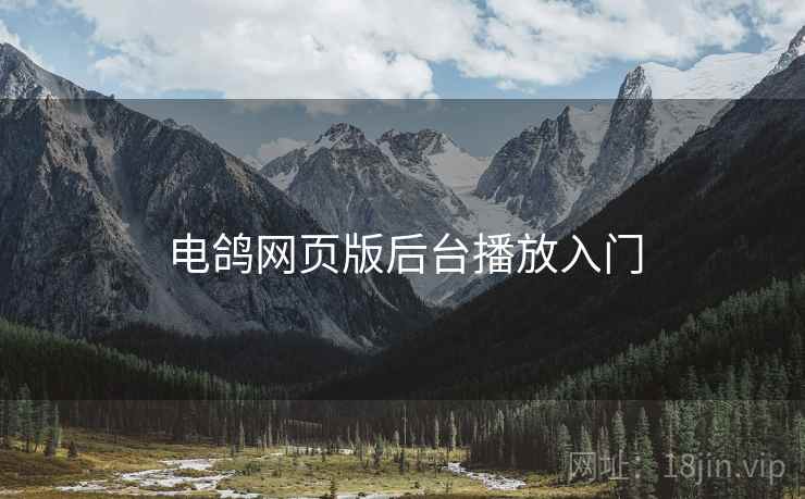 电鸽网页版后台播放入门