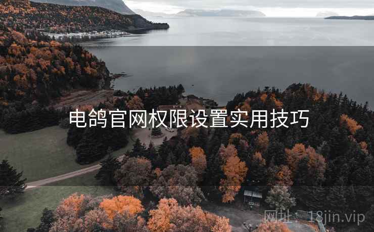 电鸽官网权限设置实用技巧