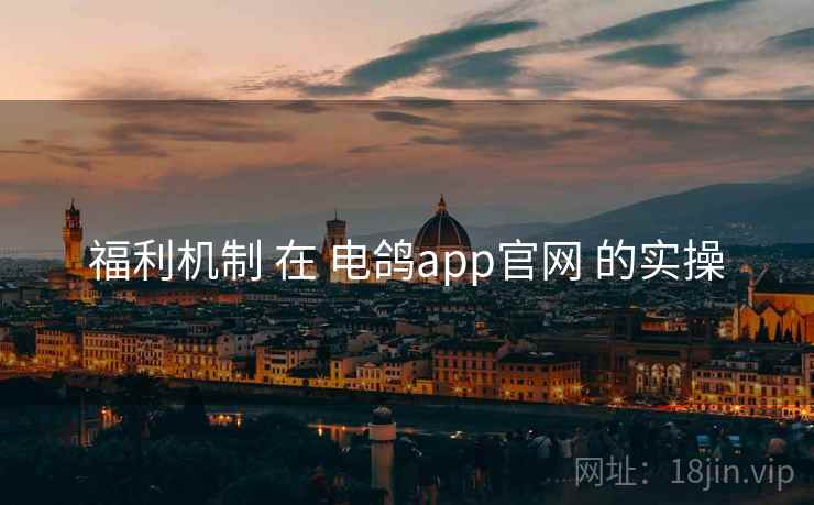 福利机制 在 电鸽app官网 的实操