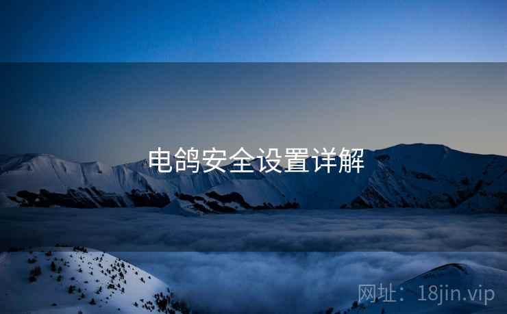 电鸽安全设置详解
