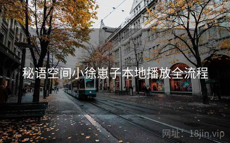 秘语空间小徐崽子本地播放全流程