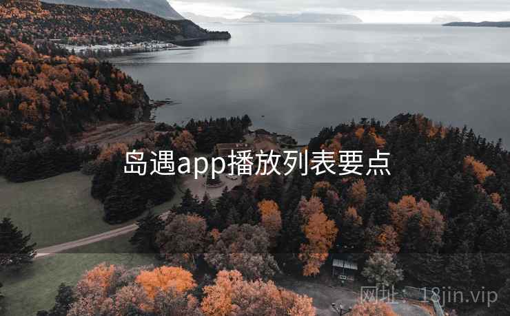 岛遇app播放列表要点