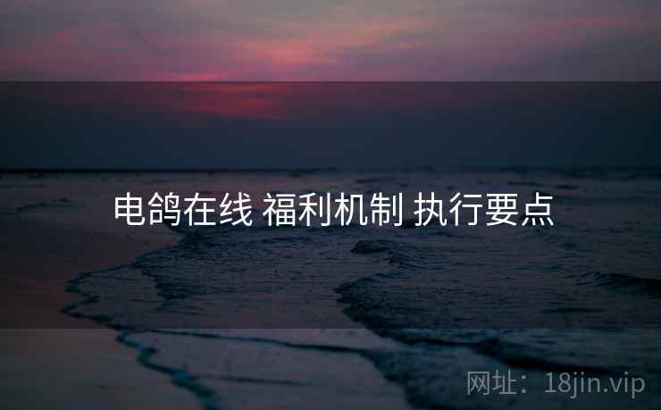 电鸽在线 福利机制 执行要点