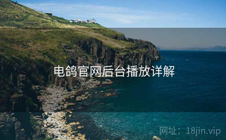 电鸽官网后台播放详解