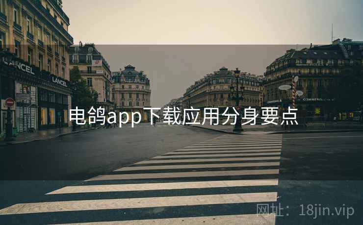 电鸽app下载应用分身要点