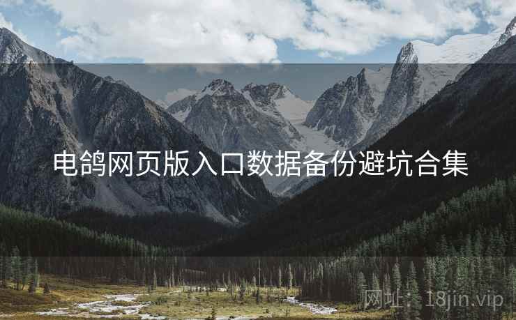 电鸽网页版入口数据备份避坑合集
