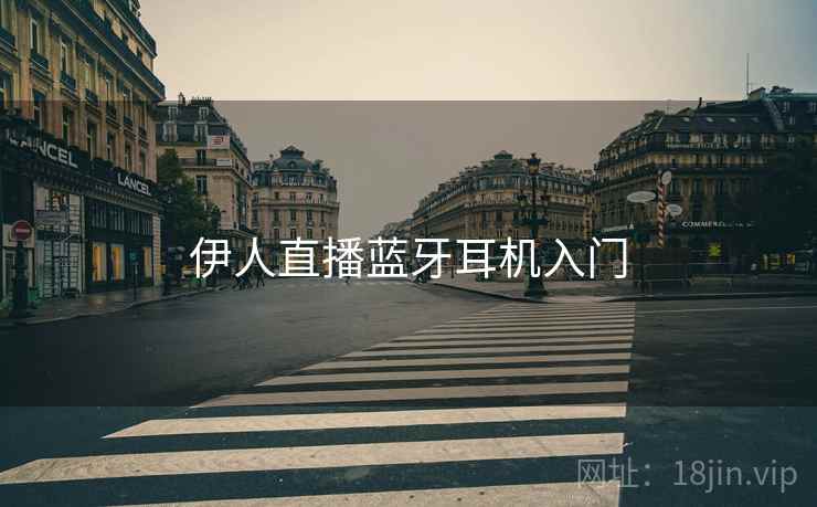 伊人直播蓝牙耳机入门