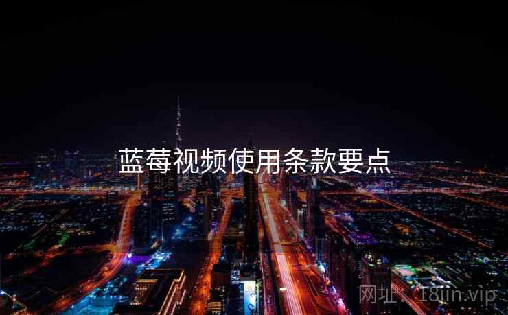 蓝莓视频使用条款要点