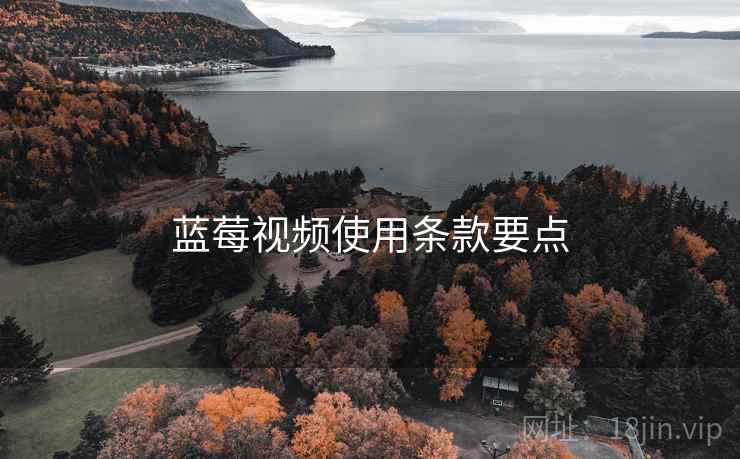 蓝莓视频使用条款要点