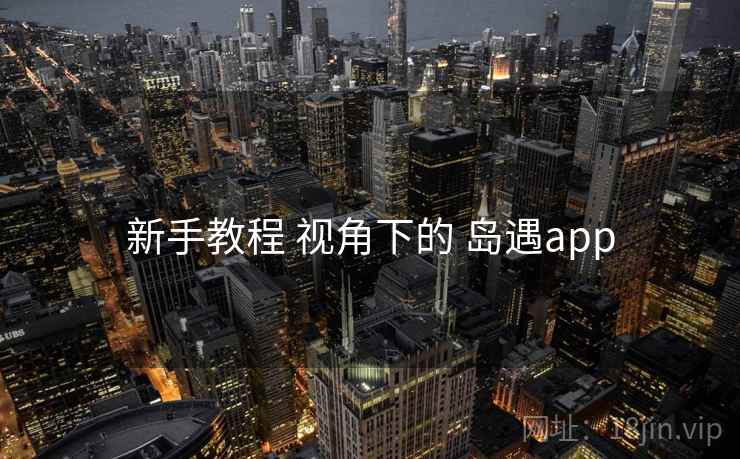 新手教程 视角下的 岛遇app