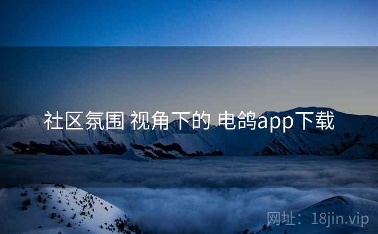 社区氛围 视角下的 电鸽app下载