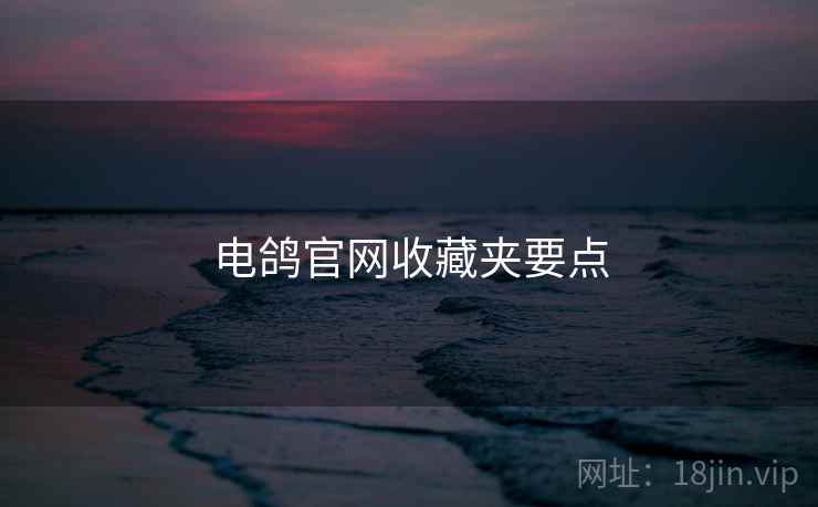 电鸽官网收藏夹要点